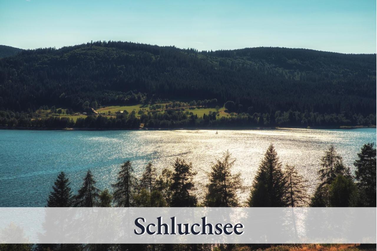 Swens Relax Pension - Inklusive Hochschwarzwaldkarte Und Halbpension เฟลด์แบร์ก ภายนอก รูปภาพ